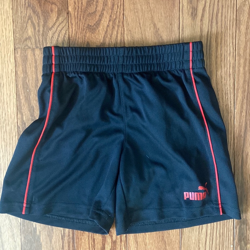 3T Puma